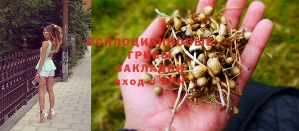МДПВ Горнозаводск