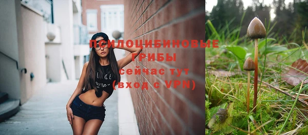 МДПВ Горнозаводск